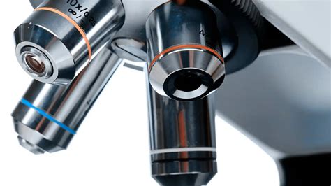 microscopes lenses|one microscope.